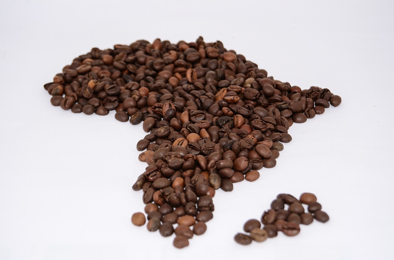 coffee beans coffee the drink free photo