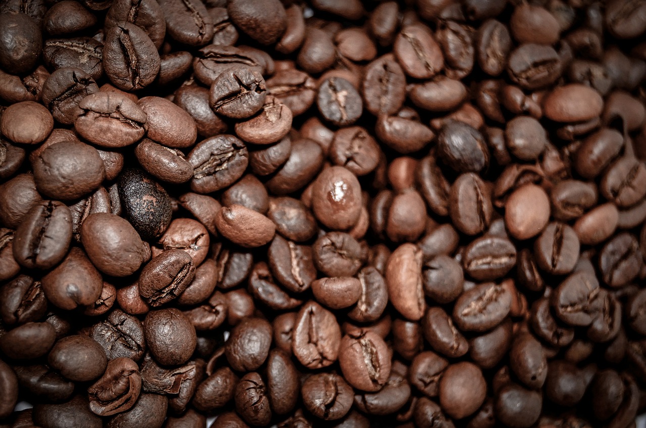 coffee beans coffee the drink free photo