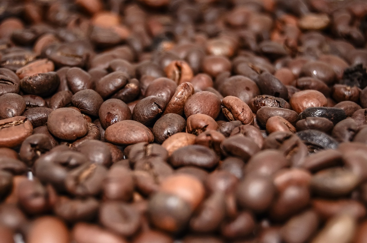 coffee beans coffee the drink free photo