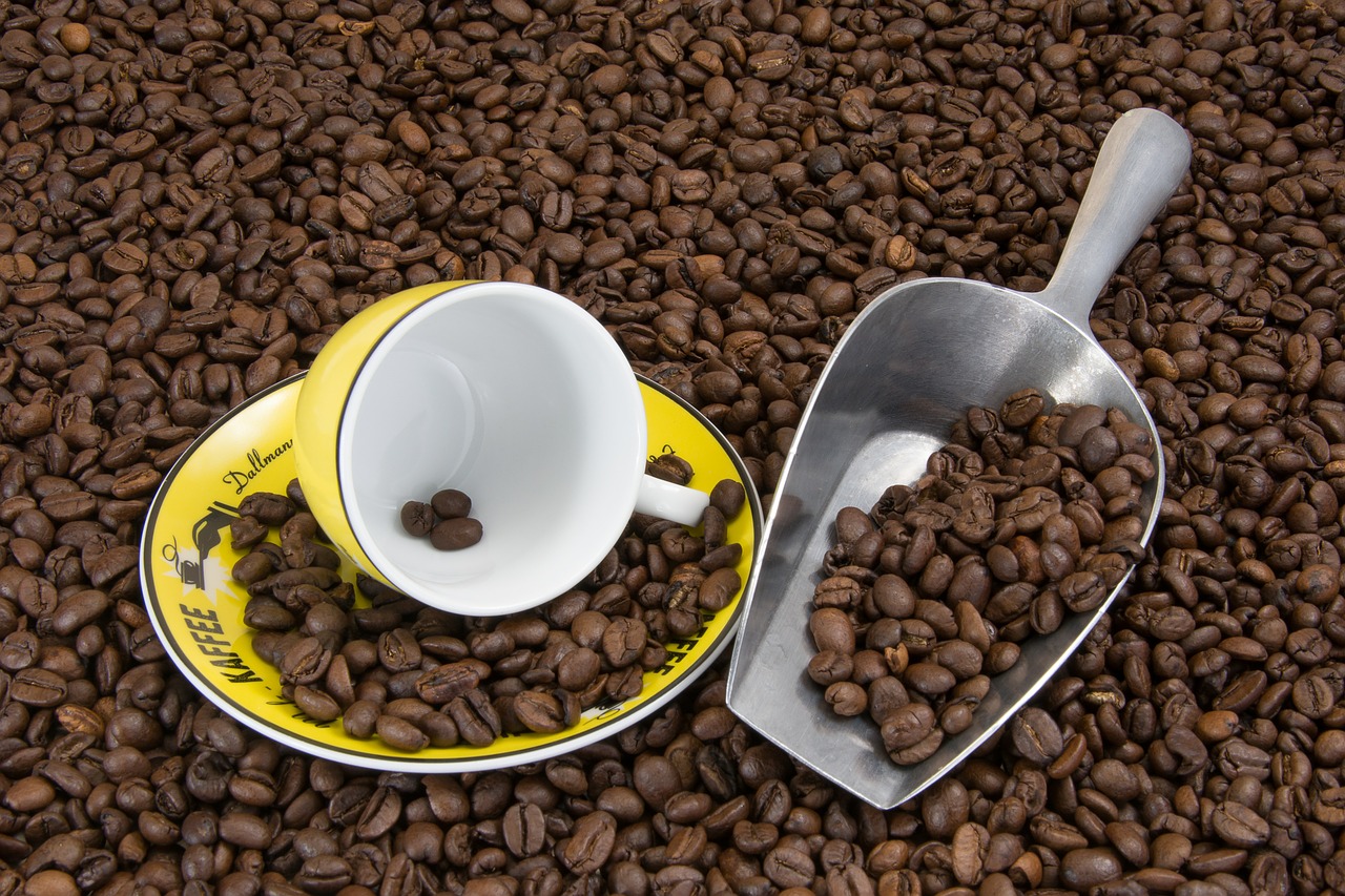 coffee beans coffee cup cup free photo