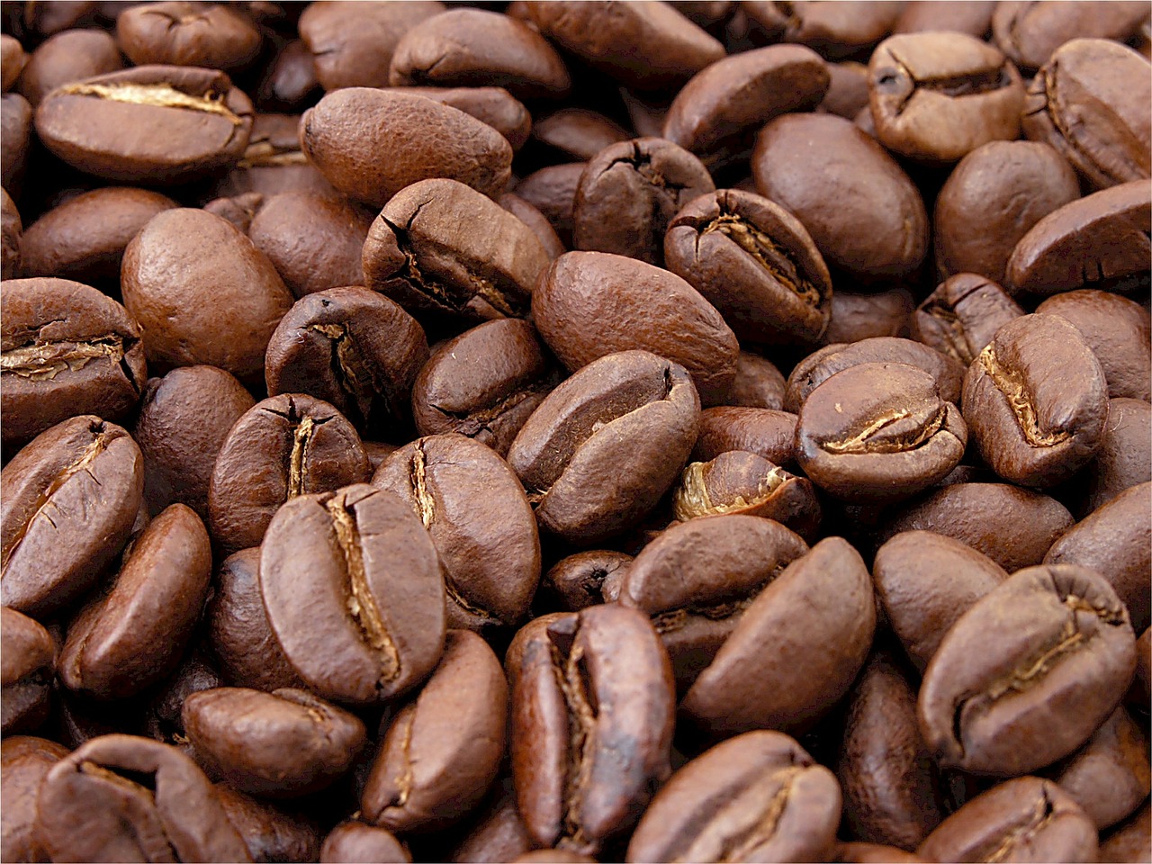 coffee beans roasted brown free photo