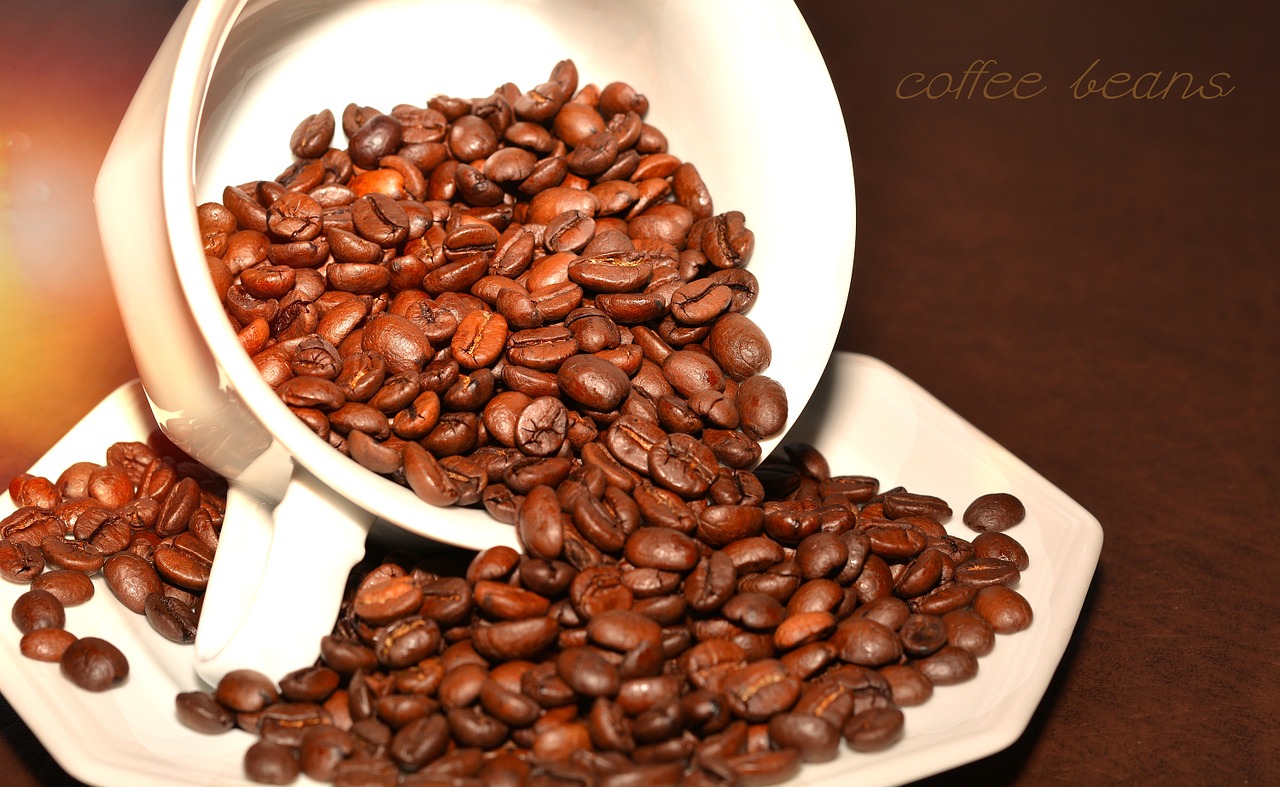 coffee beans coffee roasted free photo