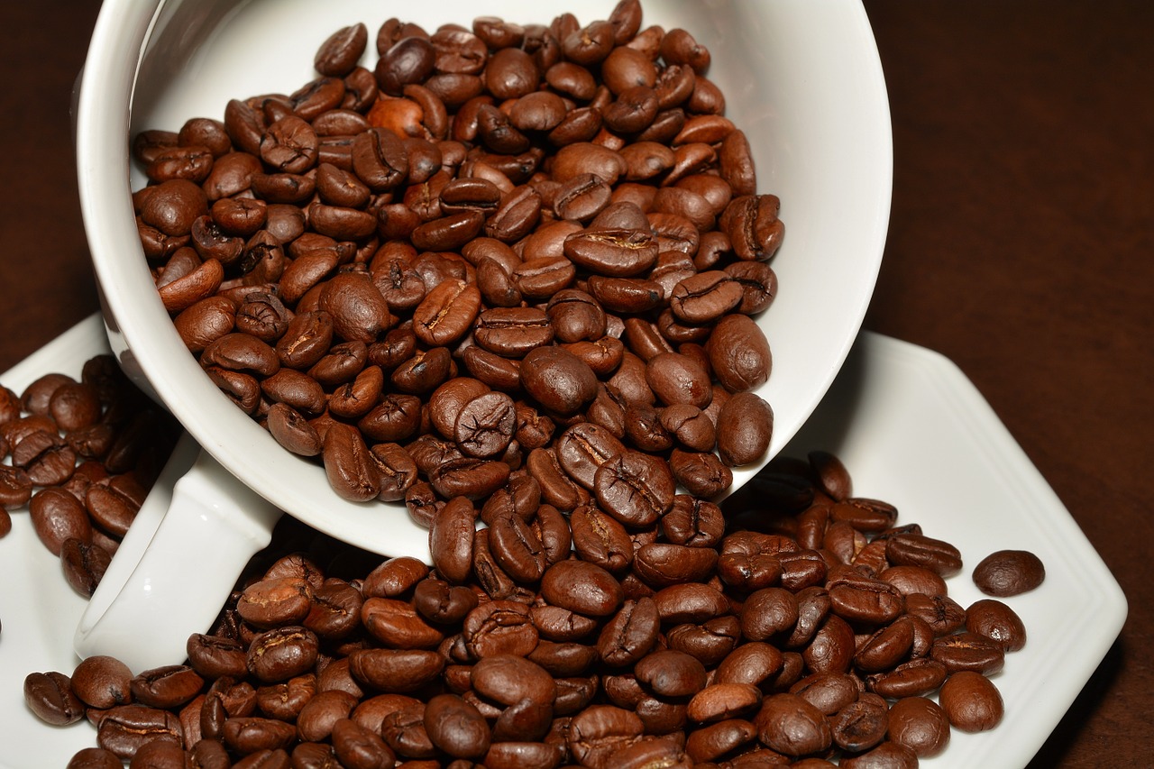 coffee beans roasted aroma free photo