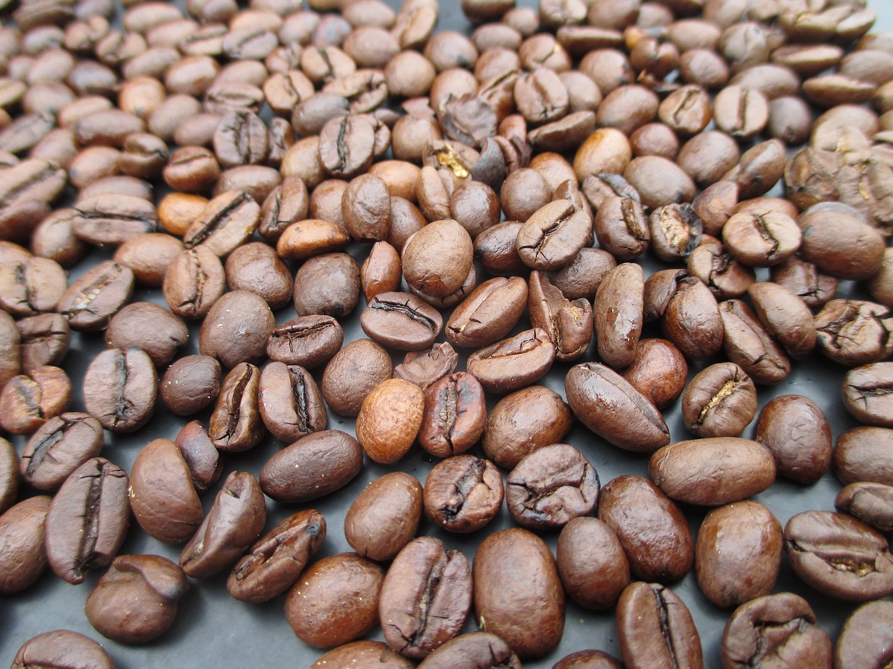 coffee beans coffee roasted free photo