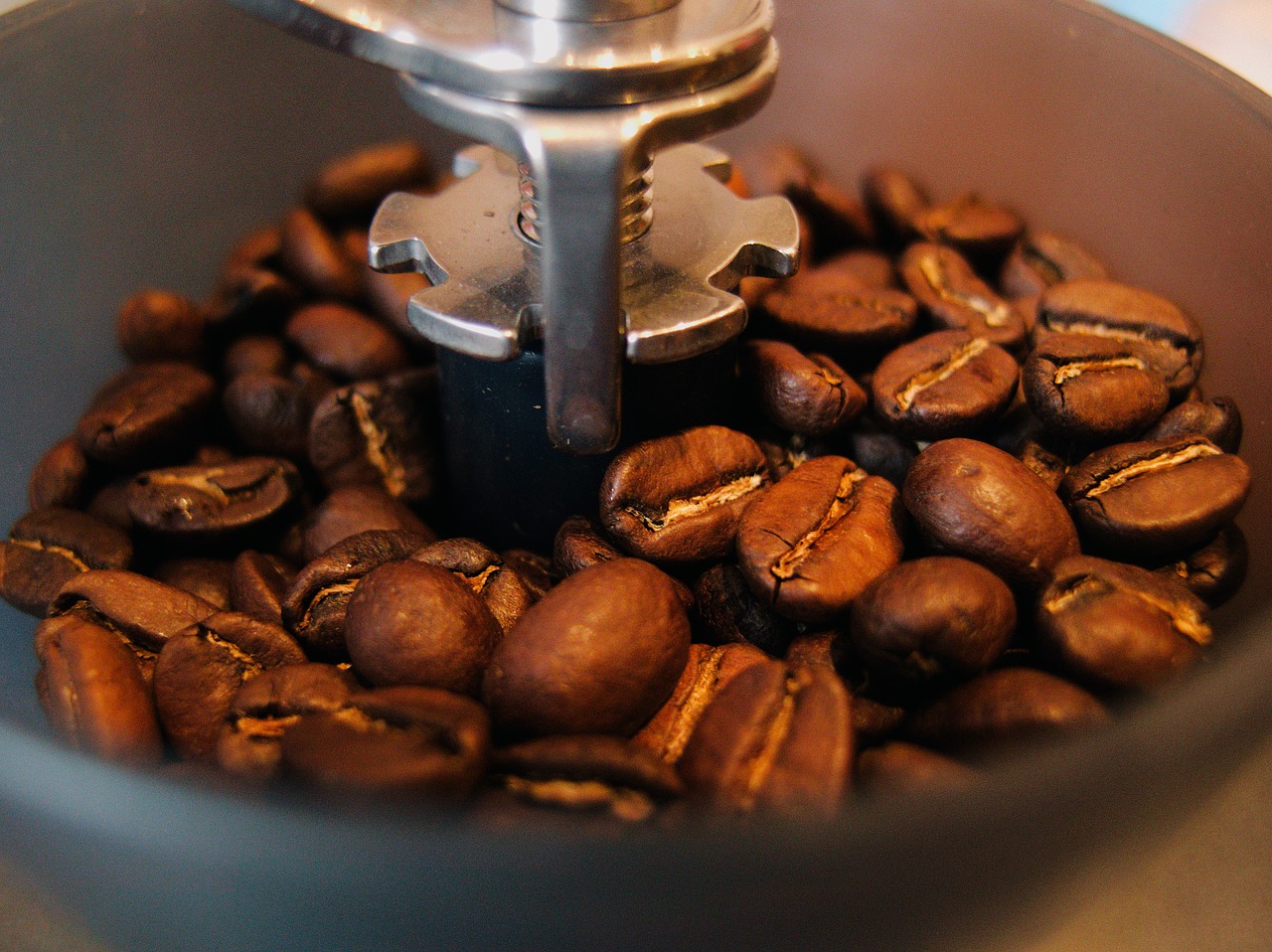 coffee beans grinder coffee free photo