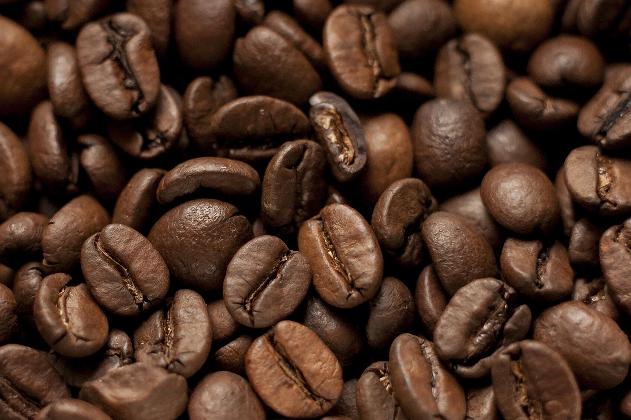 coffee beans roasted brown free photo