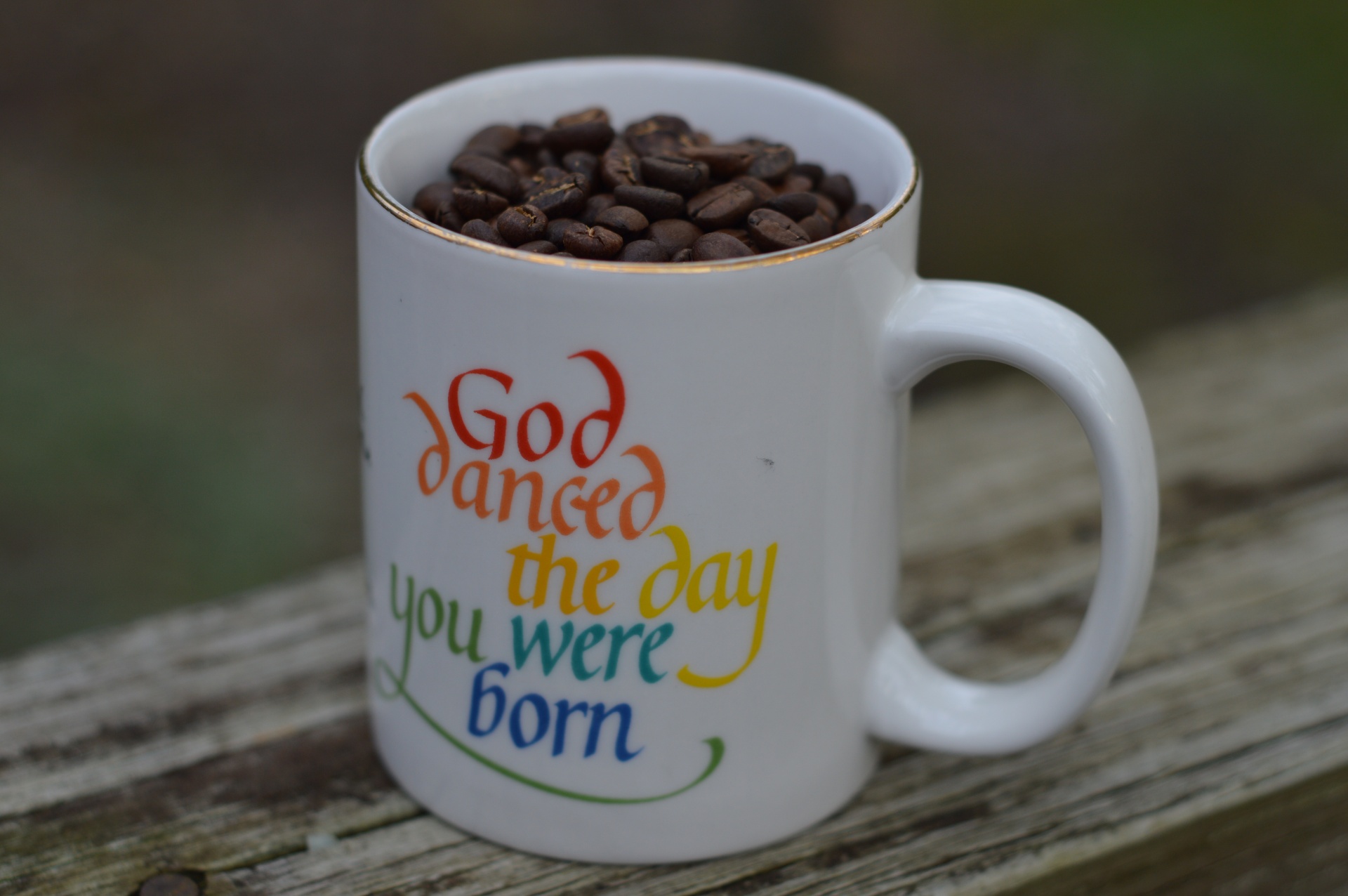 coffee beans mug free photo