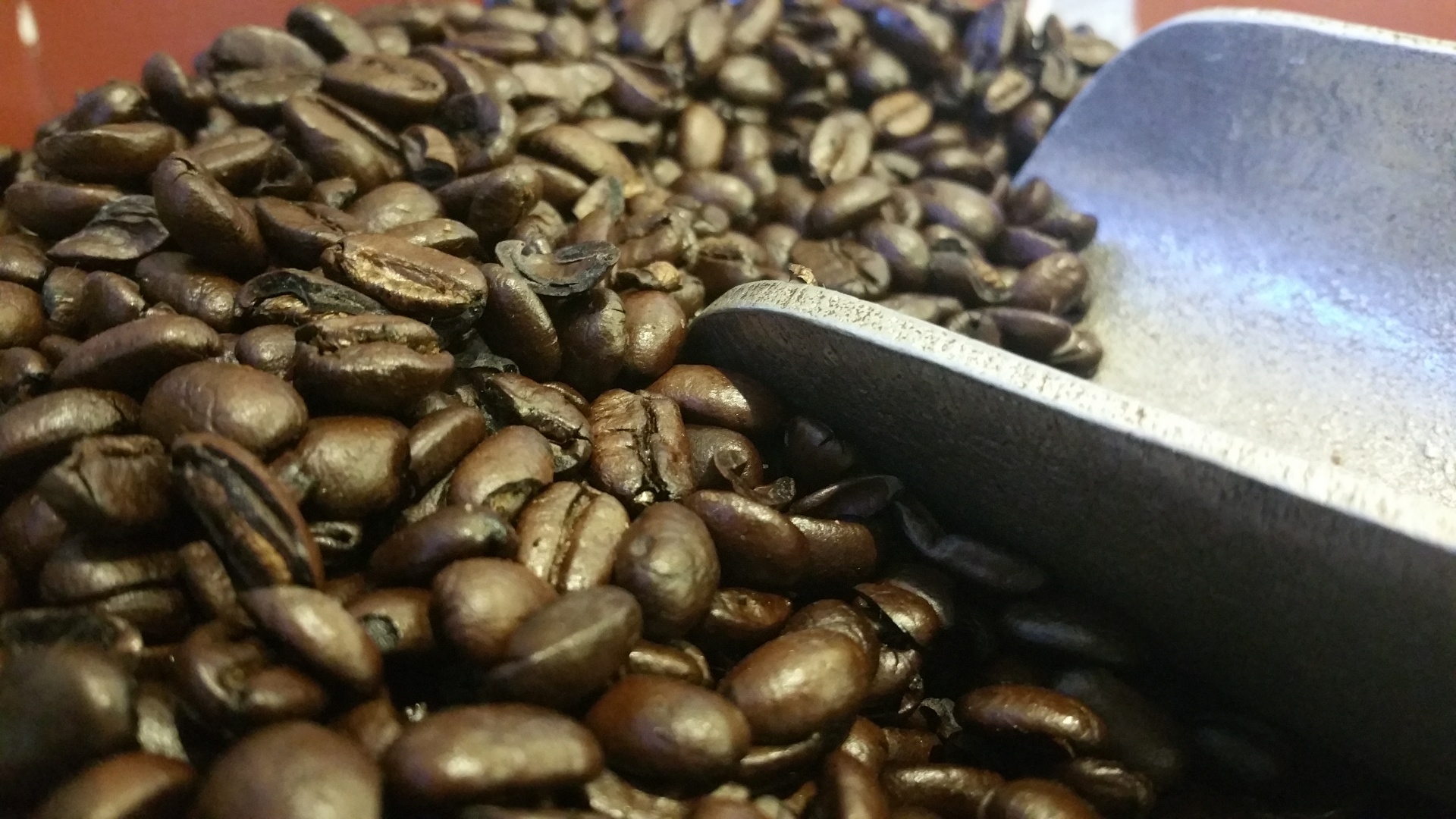 coffee beans scoop free photo