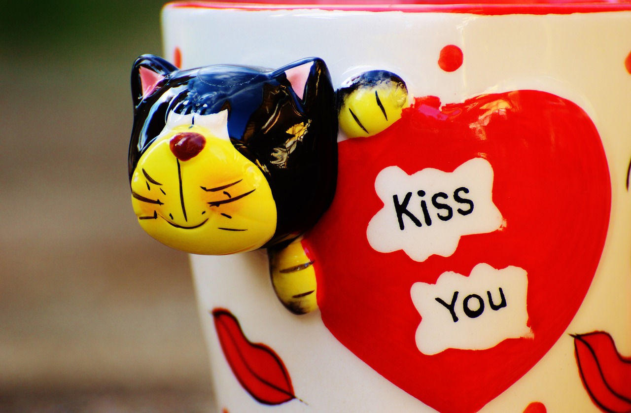 coffee cup funny cat free photo