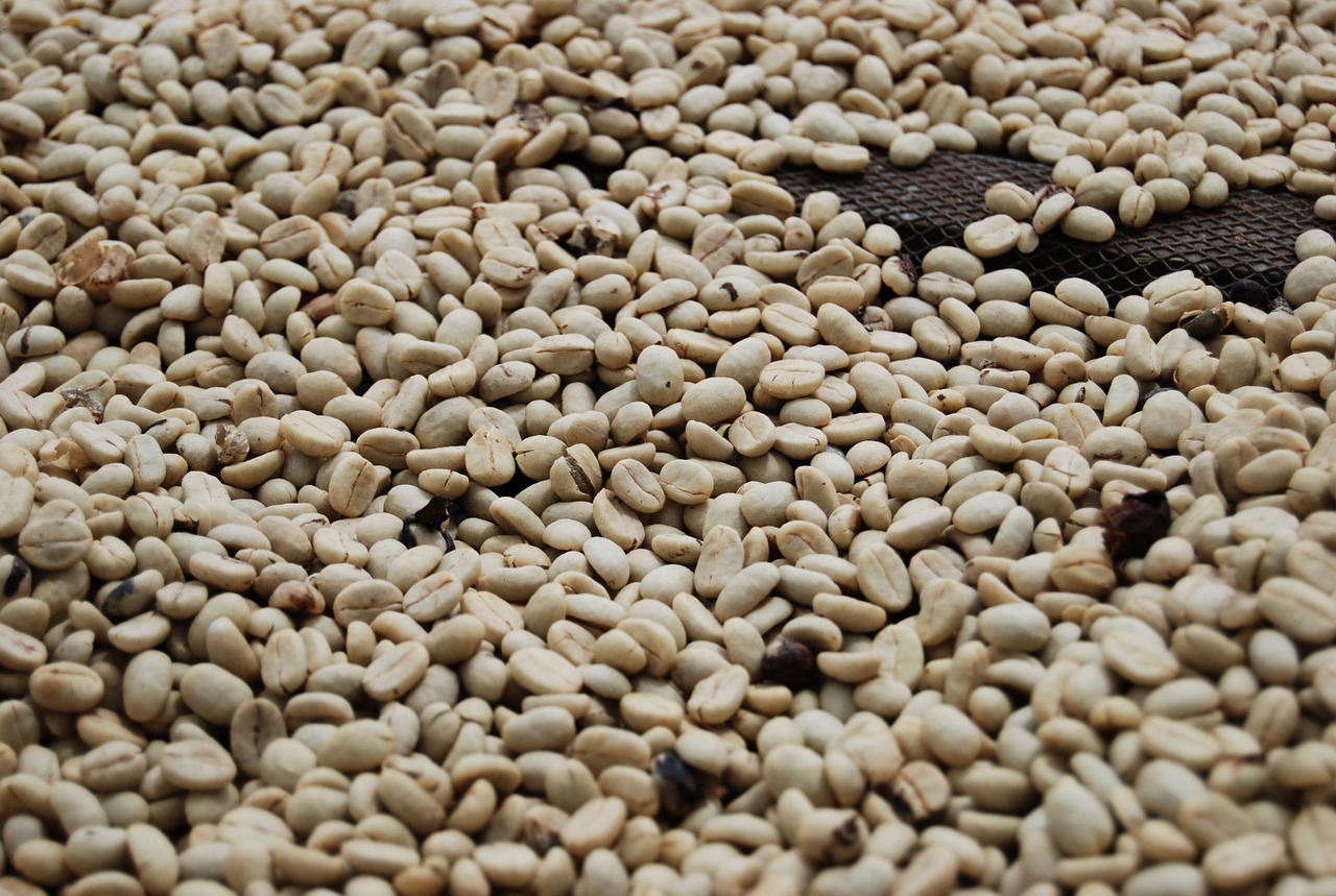 coffee grains roasted coffee coffee free photo