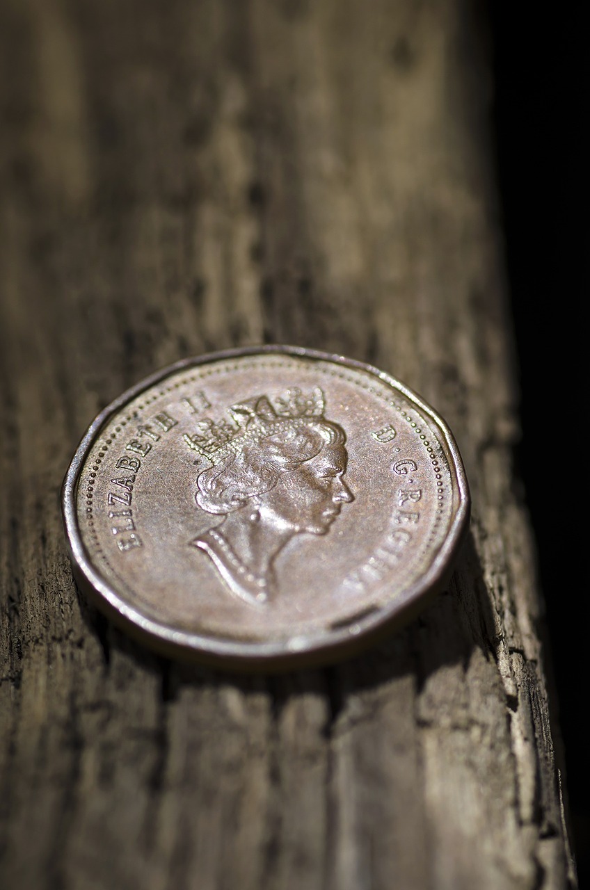 coin gbp currency free photo