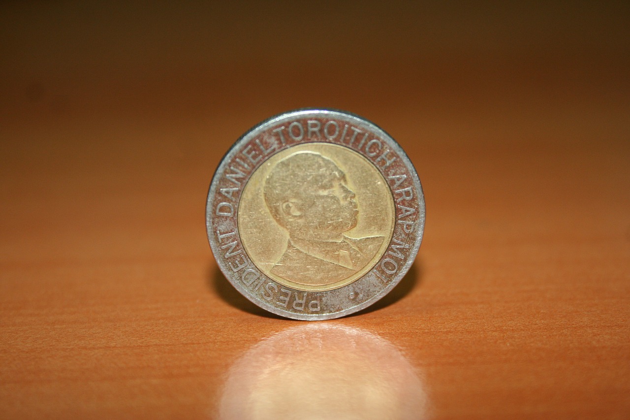 coin kenyan currency shilling free photo