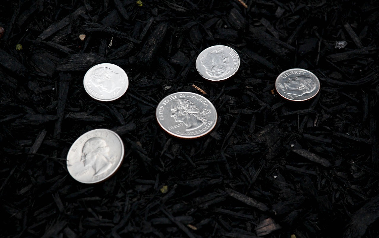 coins money change free photo