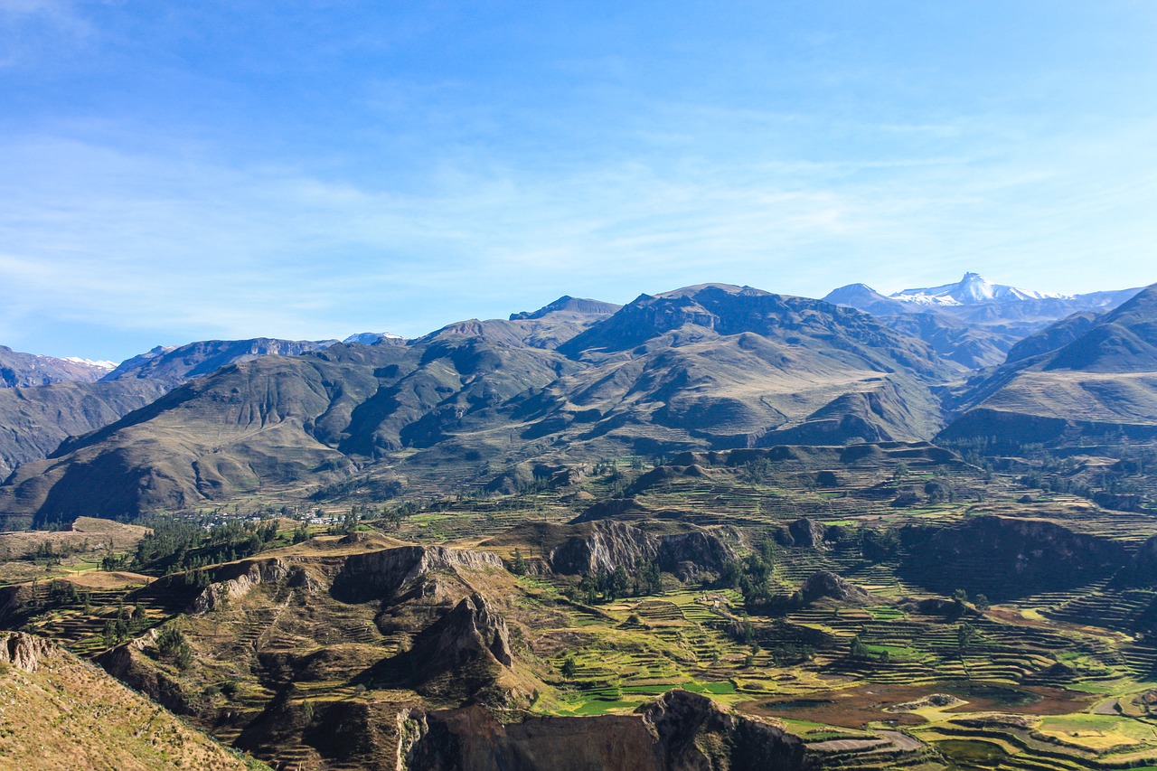 colca canyon  canyon  terraces free photo