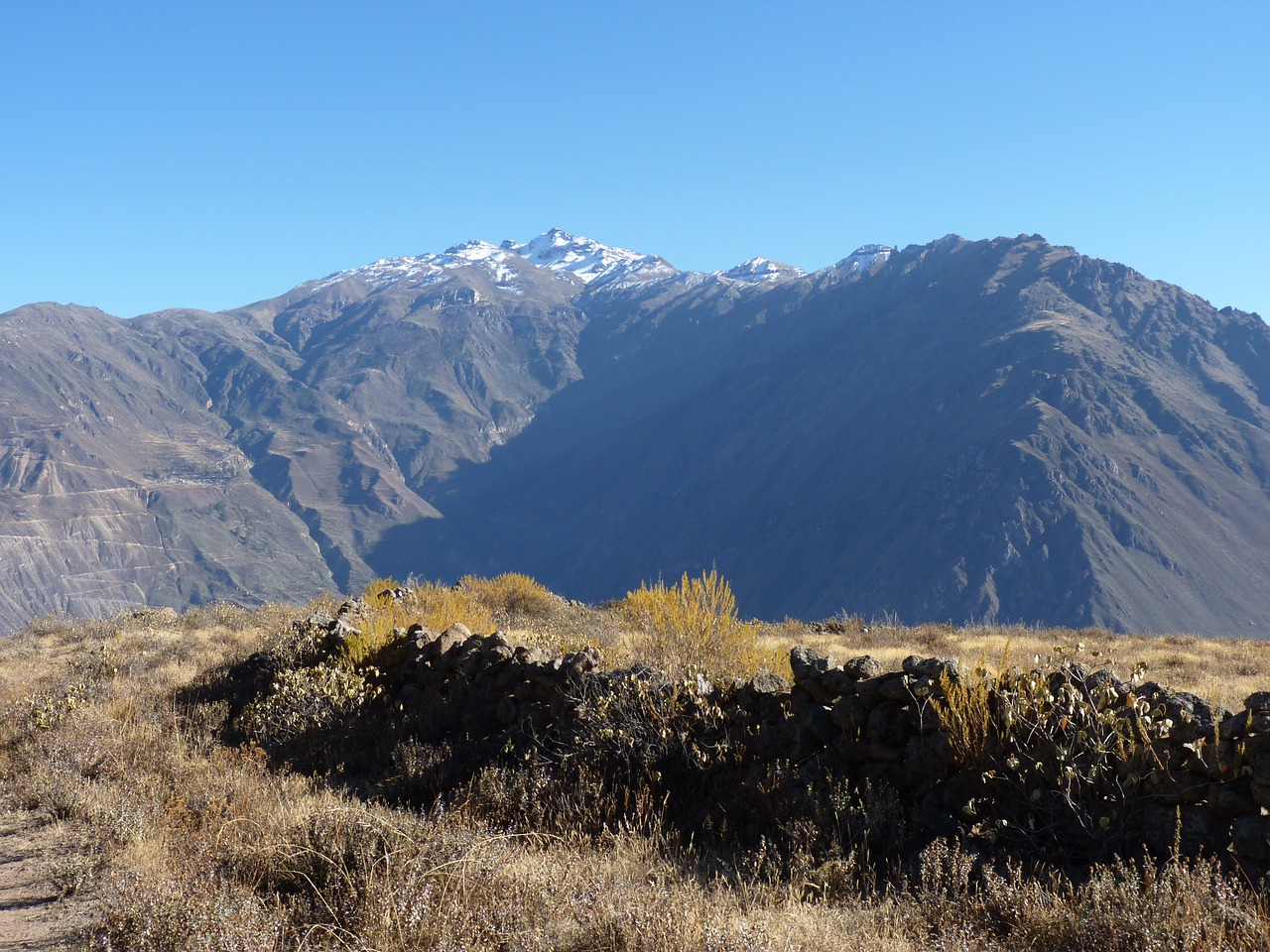 colca canyon  peru  landscape free photo