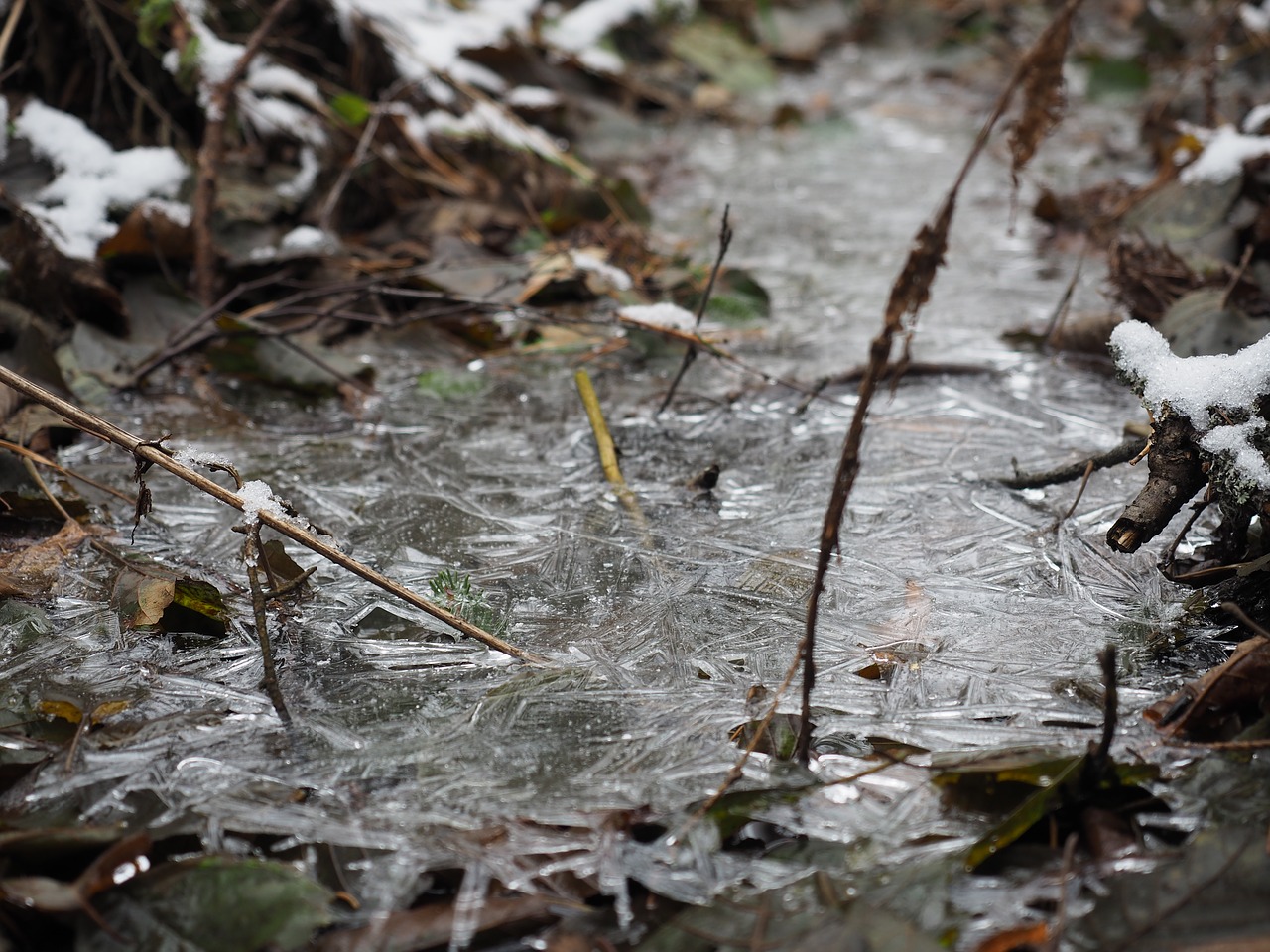 cold russia winter free photo