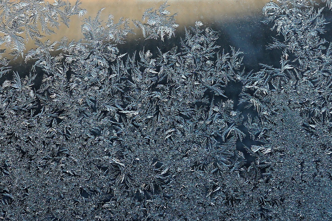 cold cool frost free photo