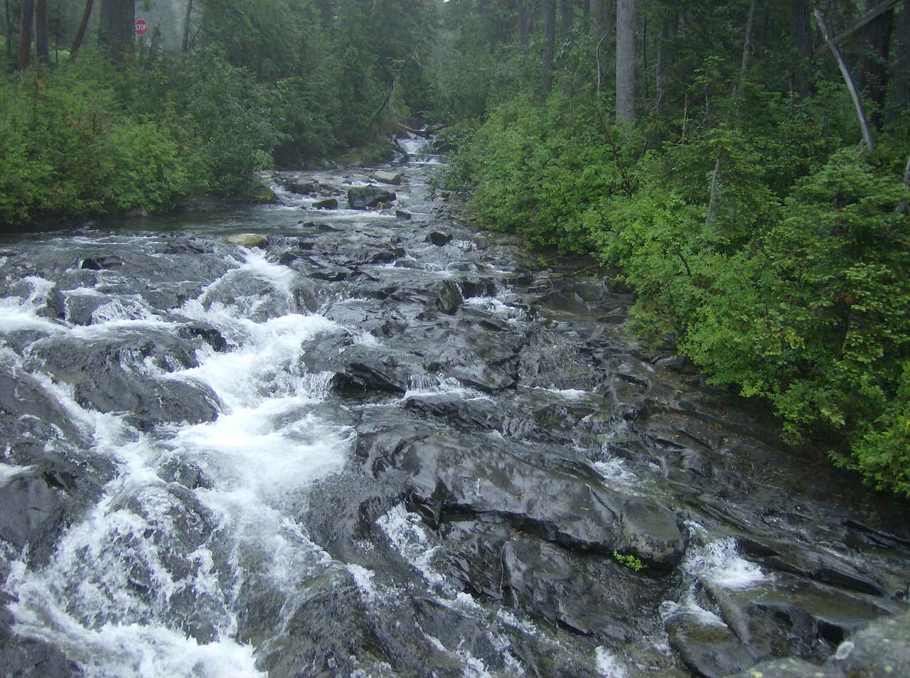 cold mountain creek free photo