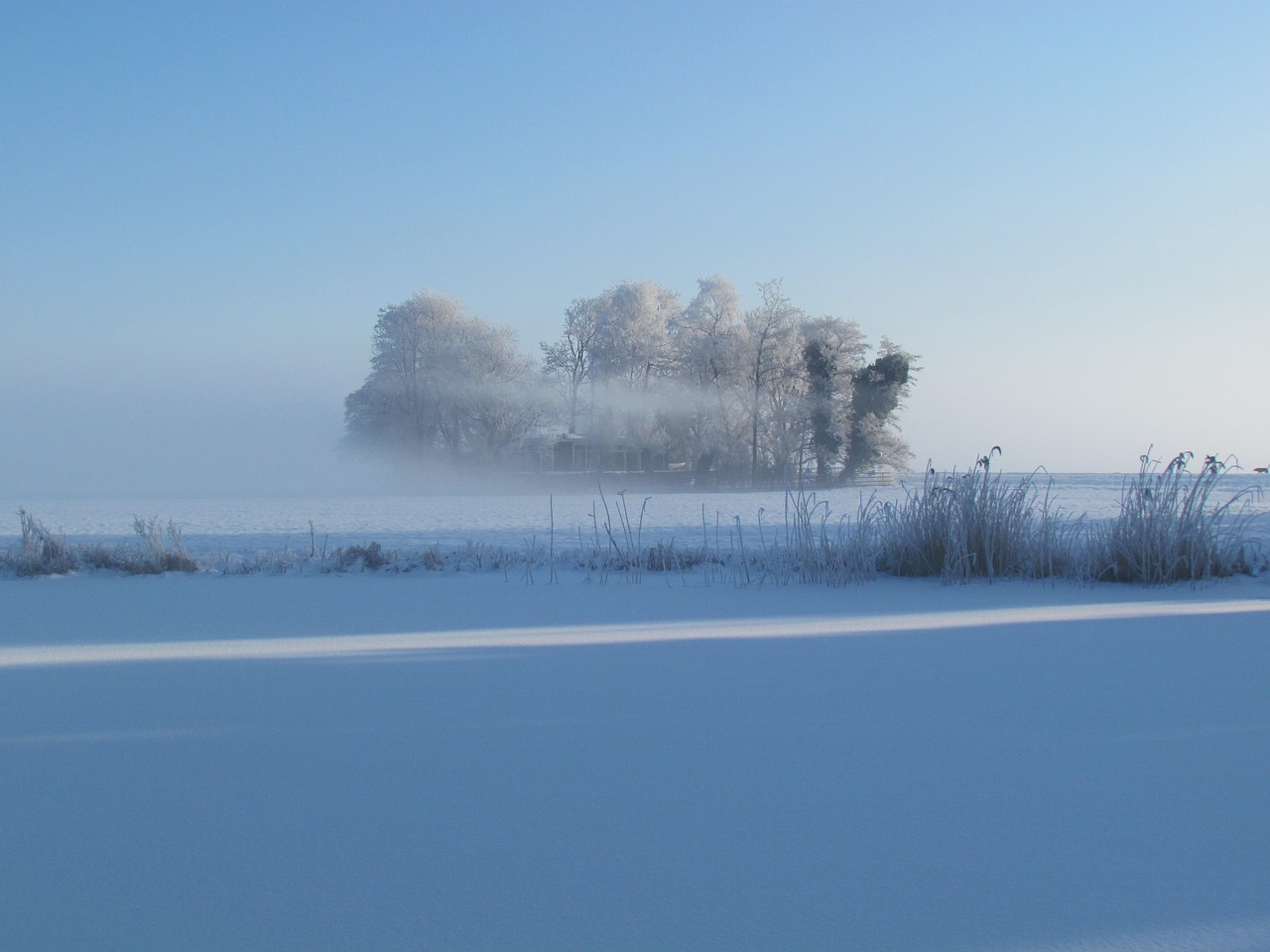 cold winter frost free photo