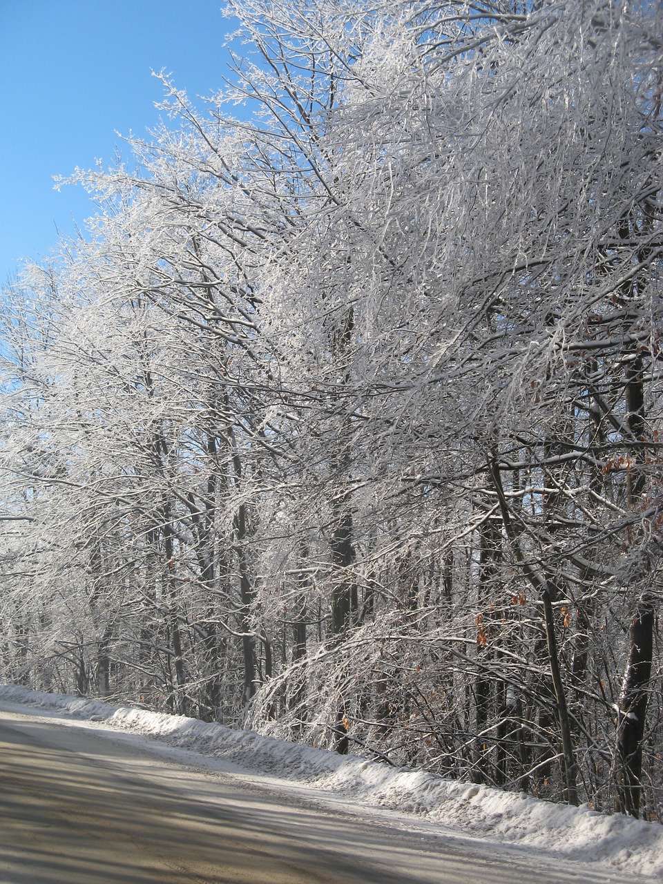 cold canada québec free photo