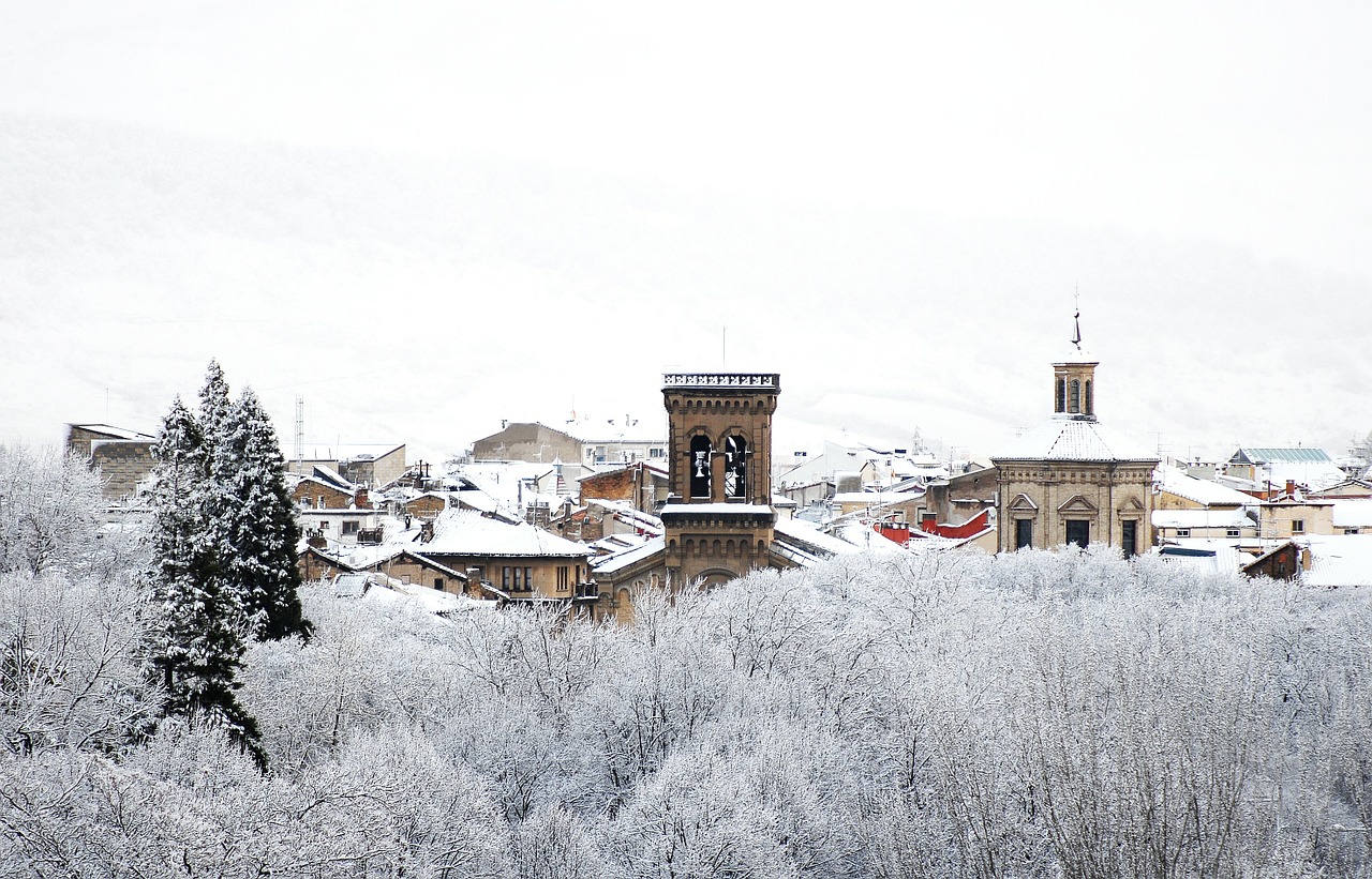 cold snow winter free photo