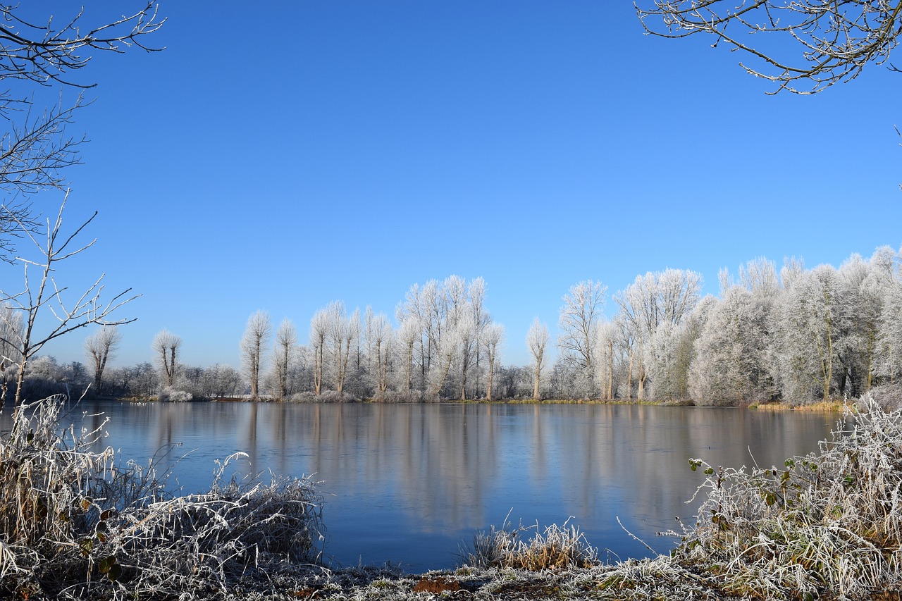 cold winter white free photo