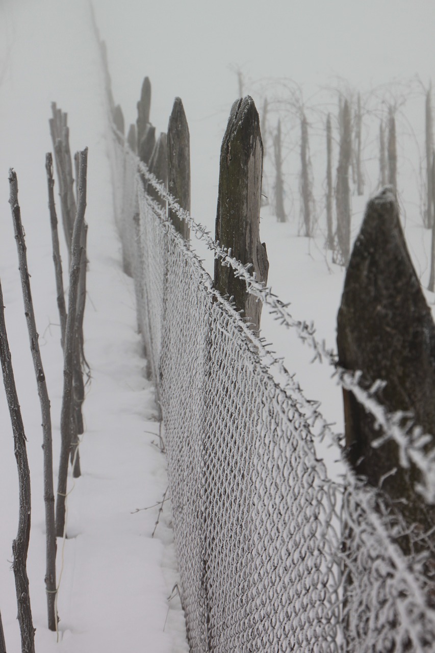 cold fence frozen free photo