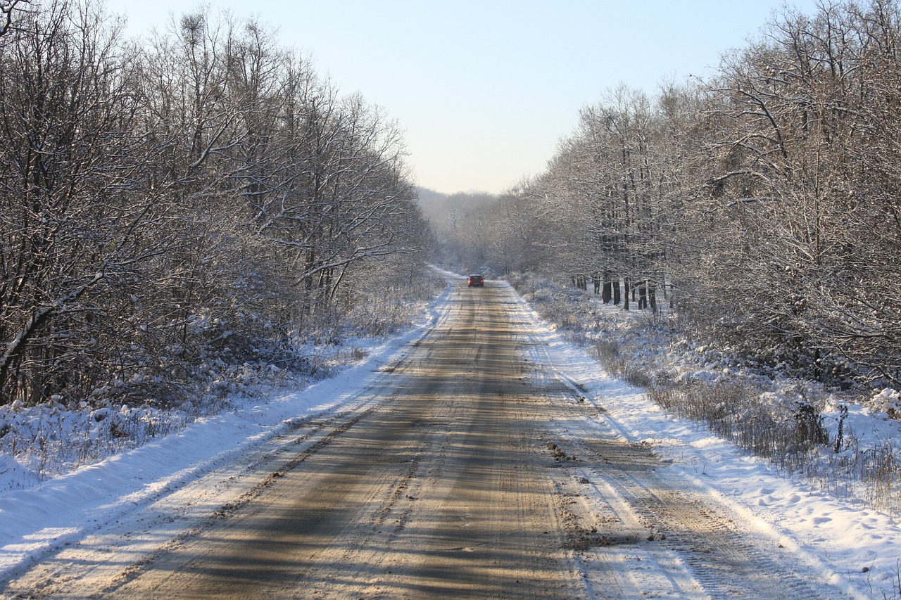 cold forest road free photo