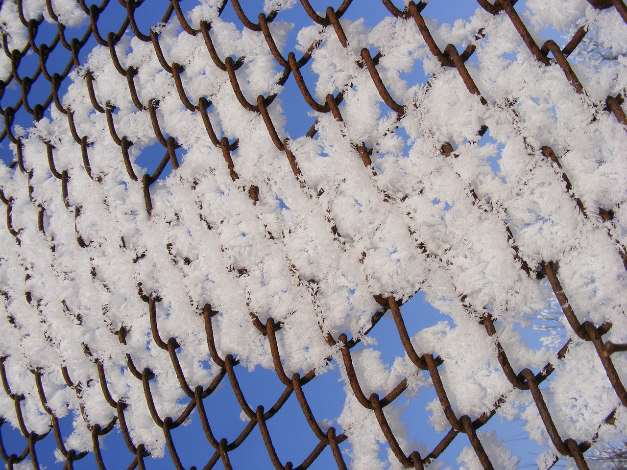 cold fence frozen free photo