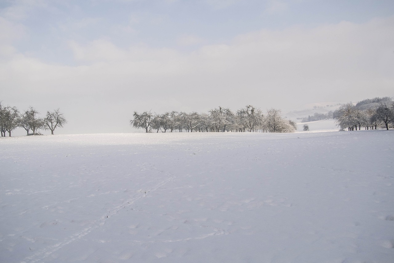 cold winter landscape snow free photo