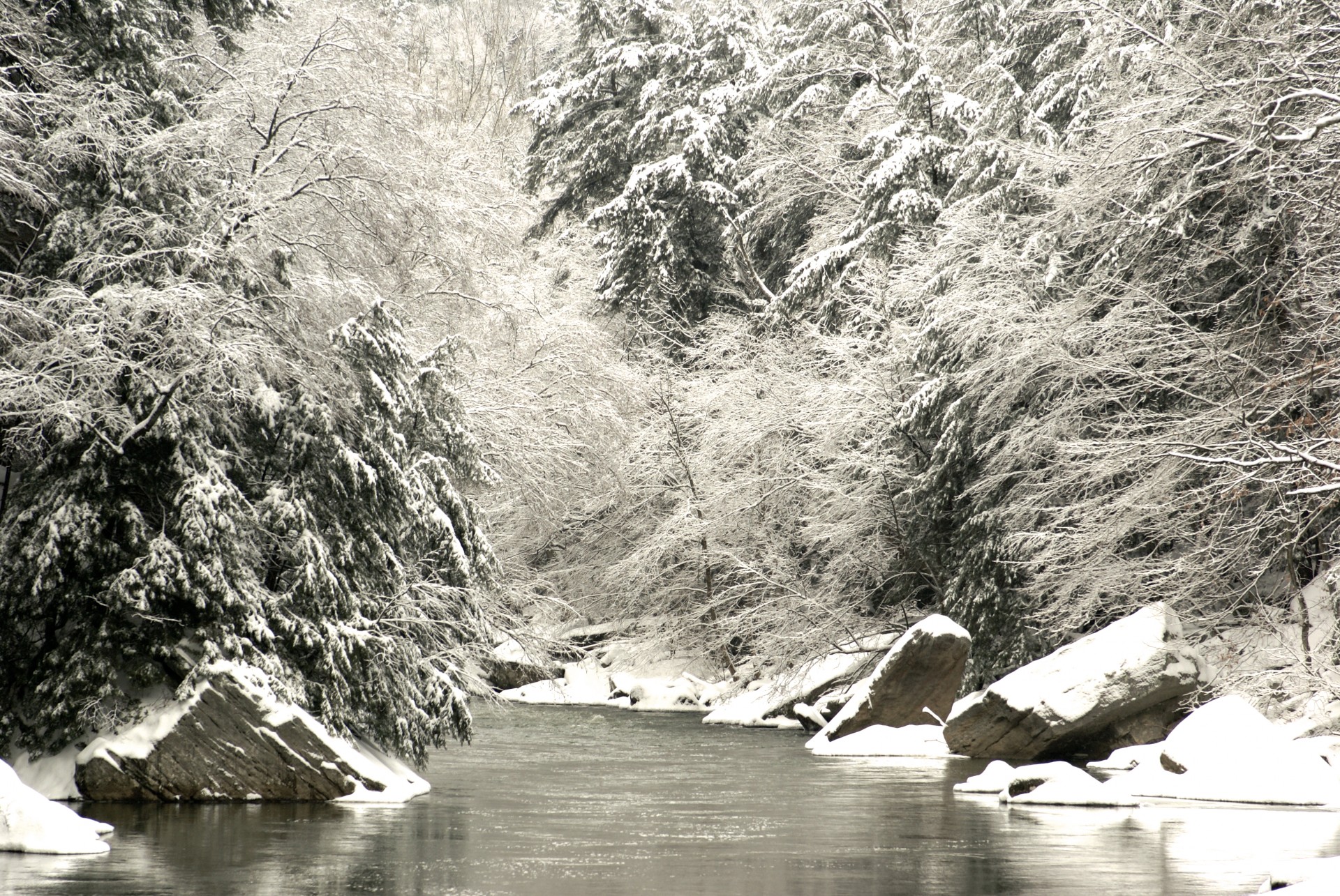 christmas cold creek free photo