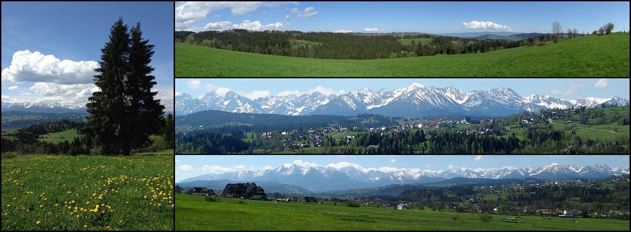 collage mountains tatry free photo