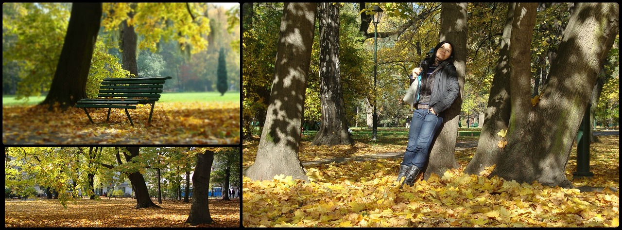 collage autumn kraków free photo