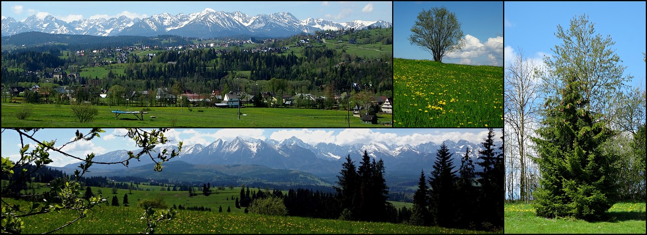 collage mountains tatry free photo