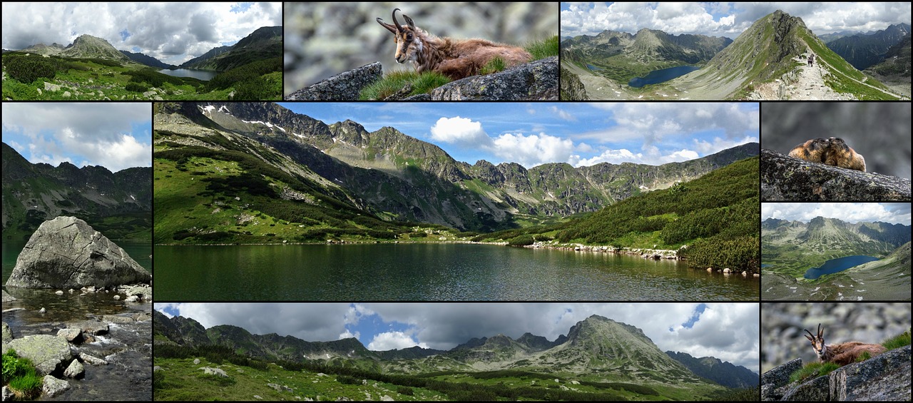 collage tatry mountains free photo