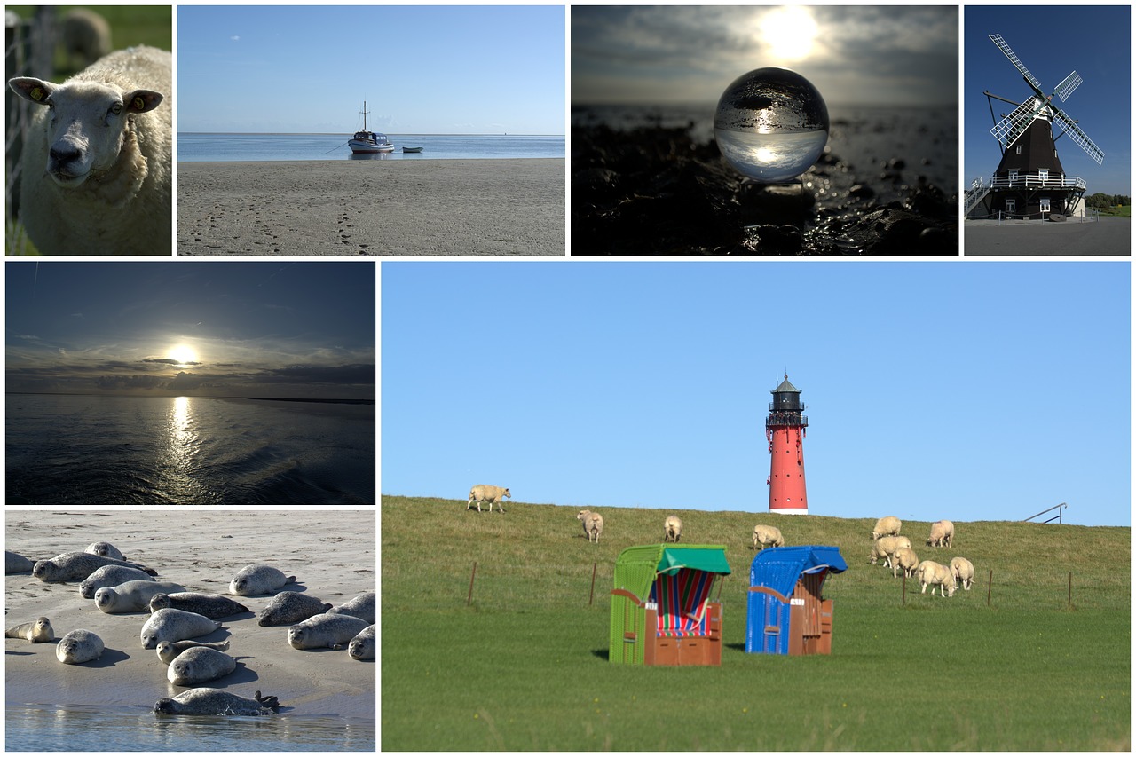 collage postcard north sea free photo