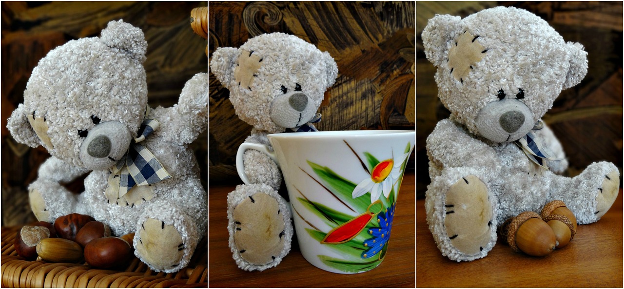 collage teddy bear the mascot free photo