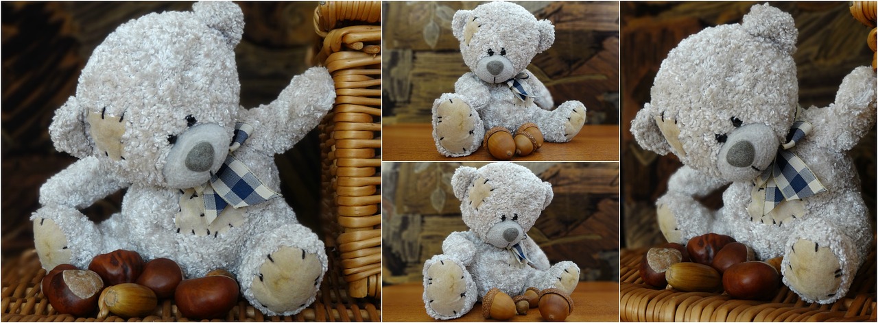 collage the mascot teddy bear free photo