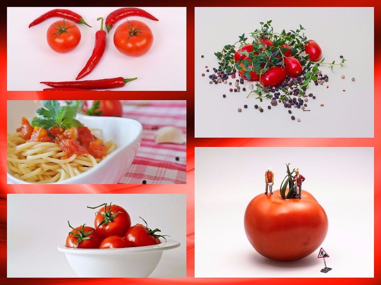 collage tomatoes vegetables free photo
