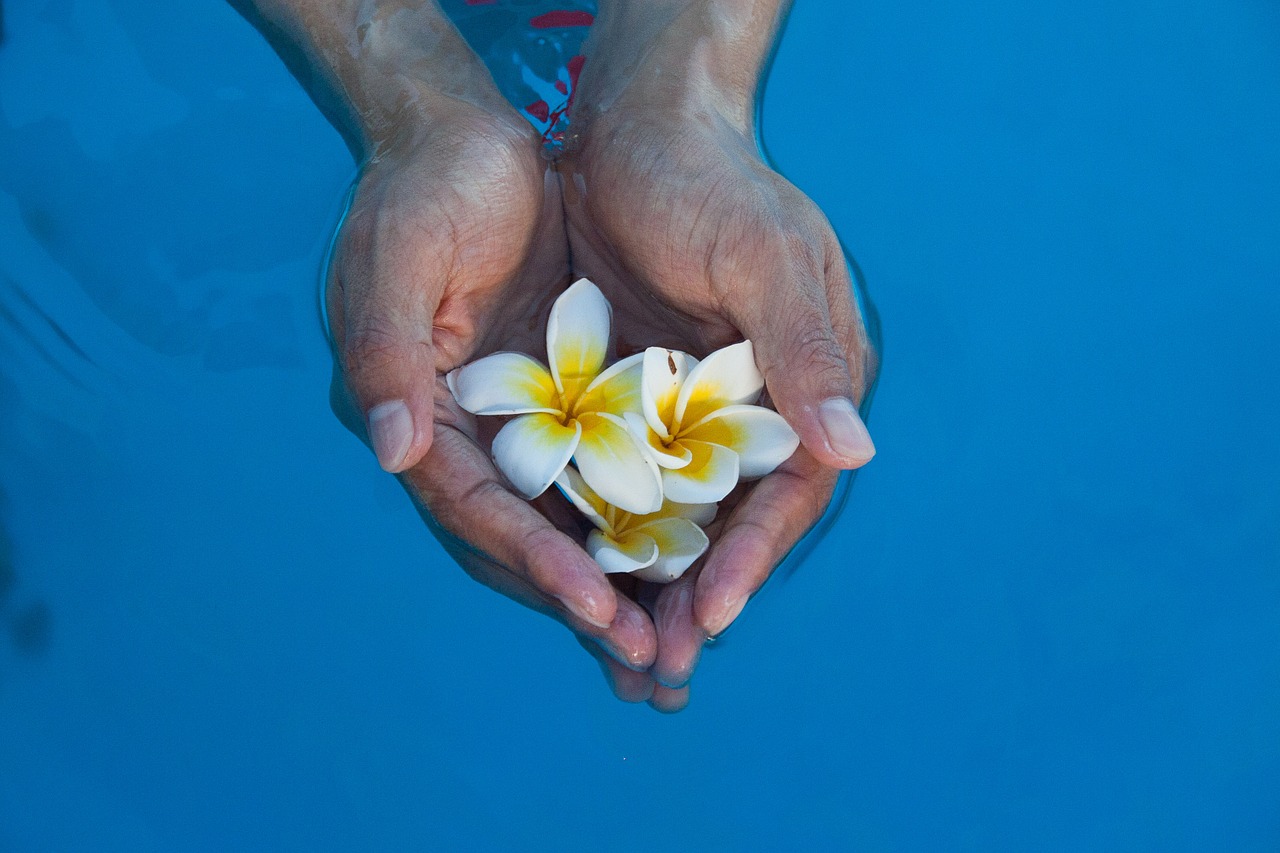 collection of hand flowers water free photo