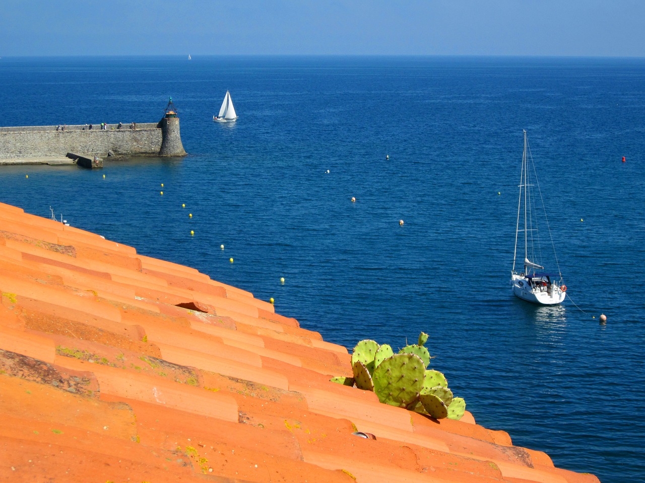 collioure mediterranean harbour free photo