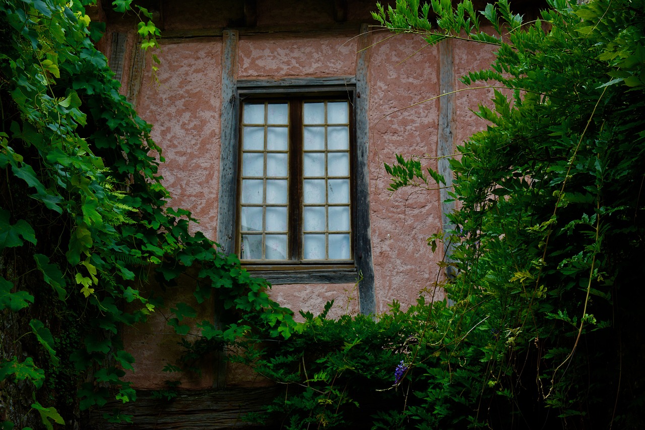 collonges red  window  vine free photo