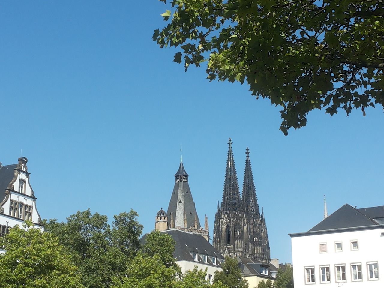 cologne old town dom free photo