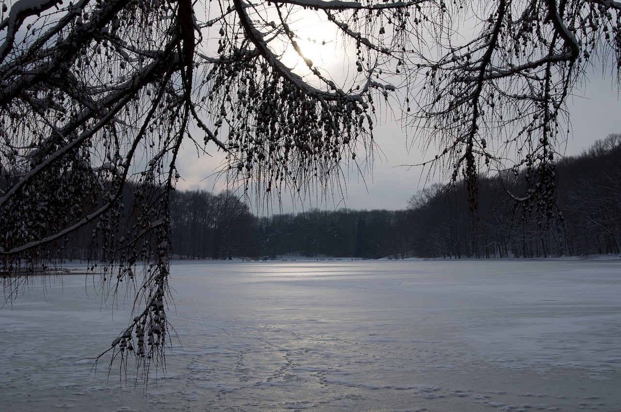 cologne winter frozen free photo