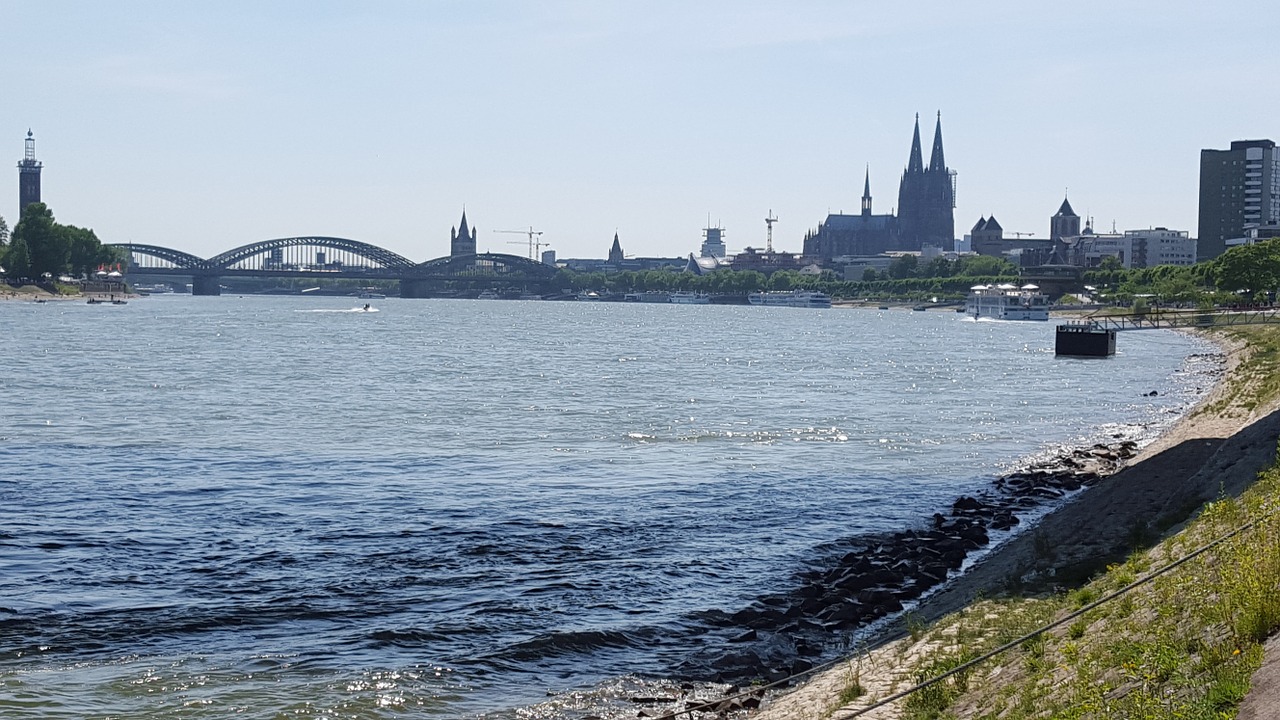 cologne rhine rhine river free photo