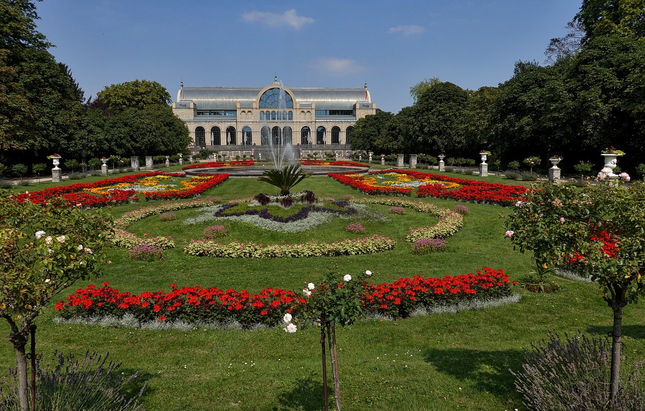 cologne  flora  nature free photo