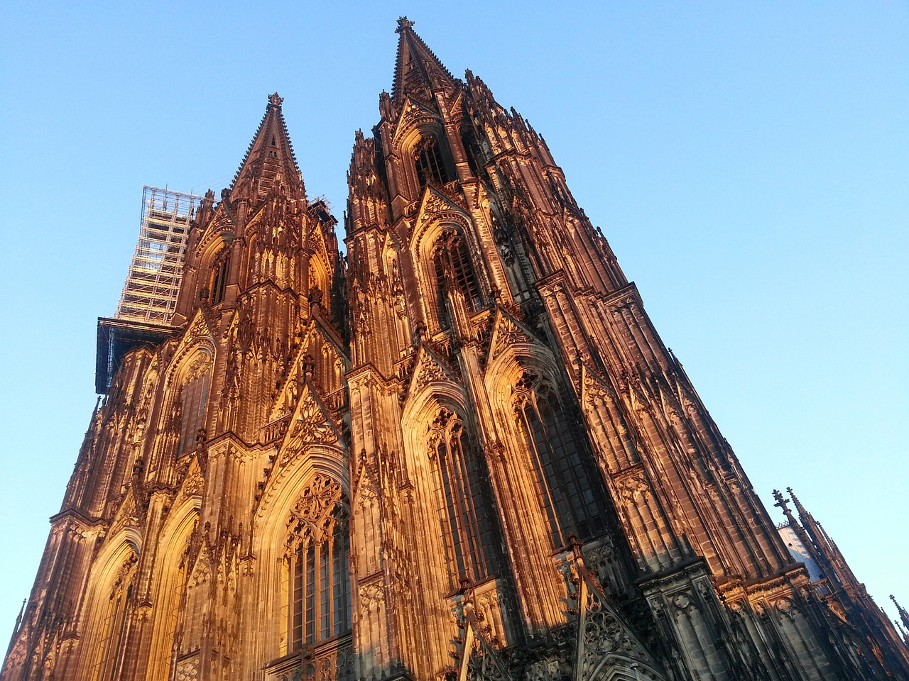 cologne cathedral cologne evening sun free photo