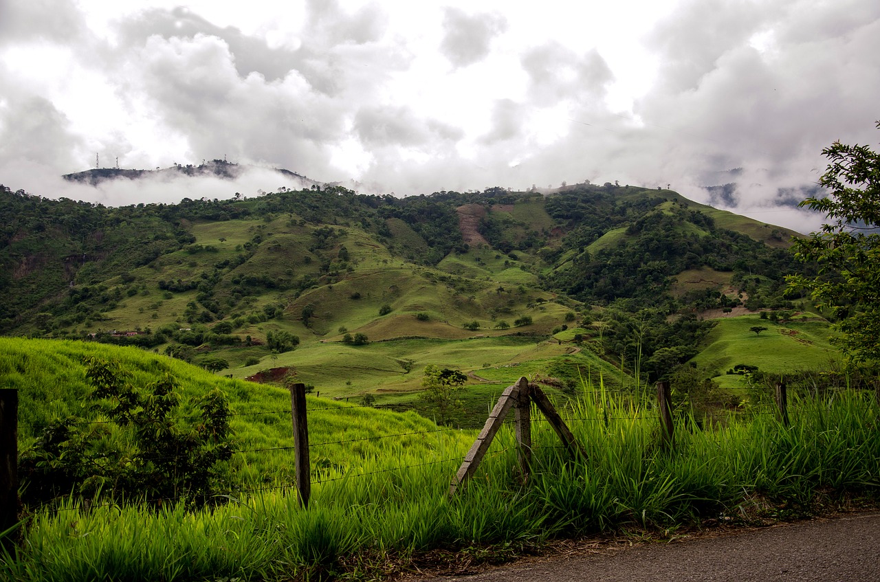 colombia coffee zone mountains free photo