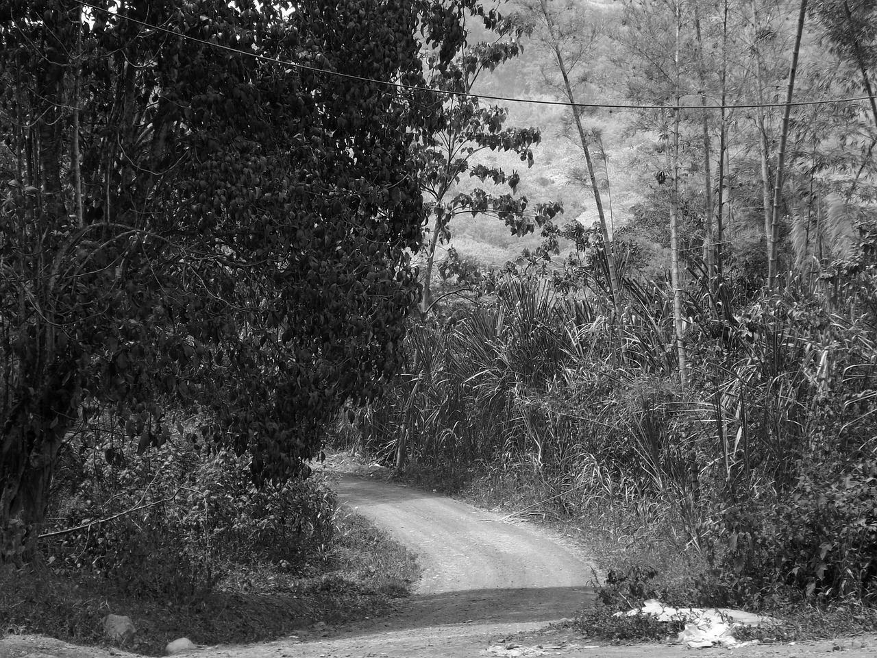 colombia rural road mountain free photo