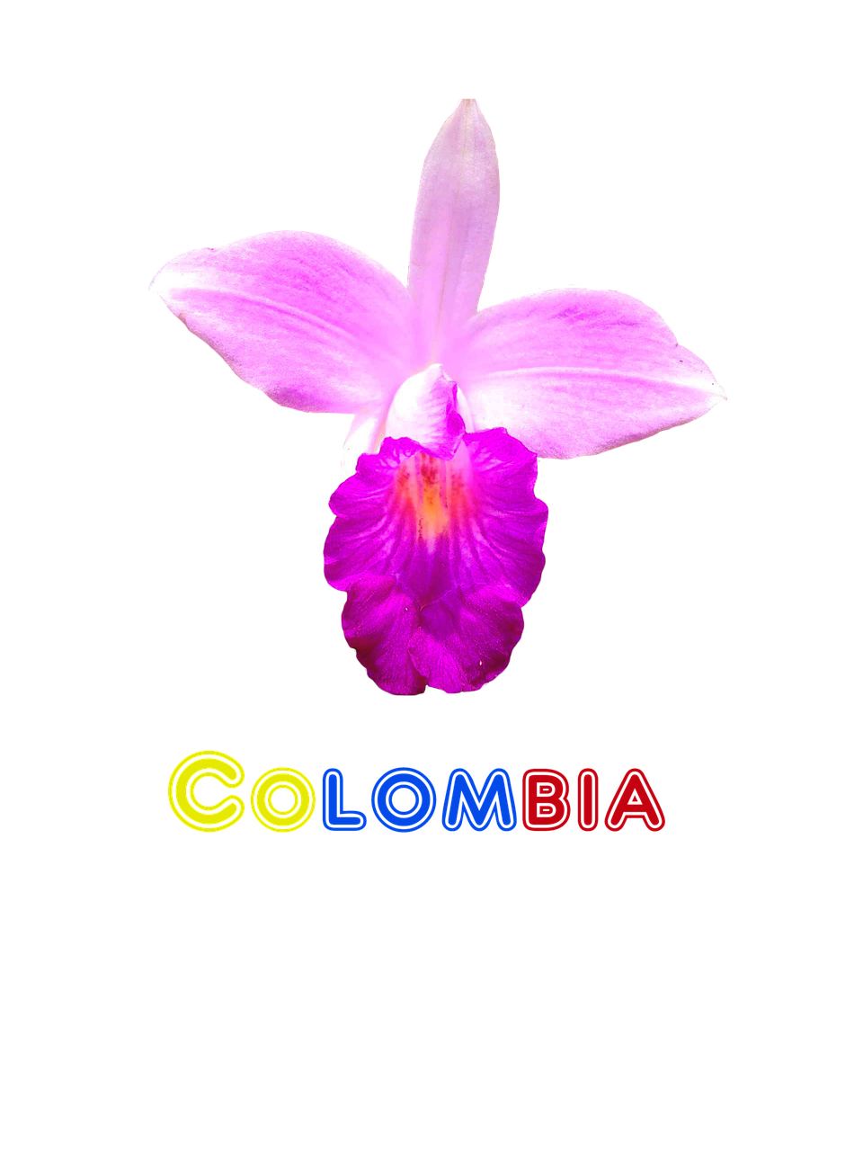 colombia flower orchid free photo